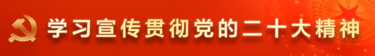 黨的二十大